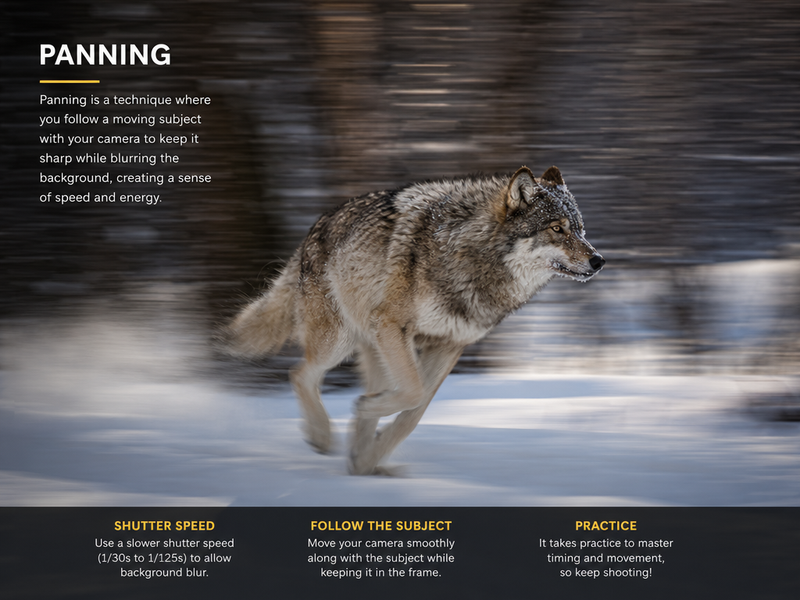 1-Minute Lesson 10 Shutter Speed – Freezing or Showing Motion