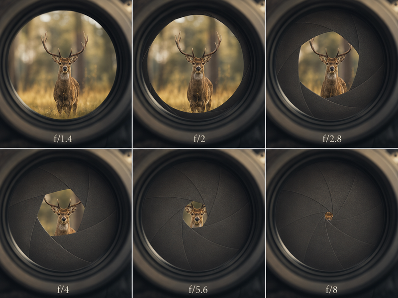 1-Minute Lesson 03 What Aperture Really Does (Not Just Background Blur)