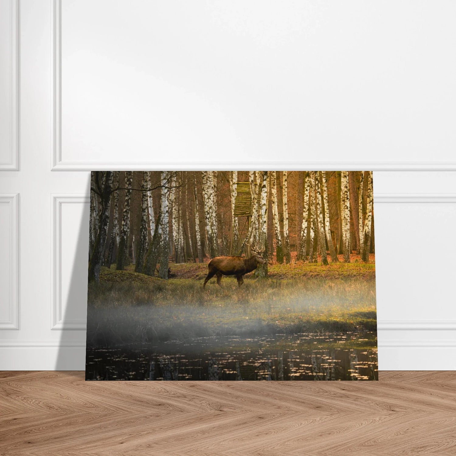 Animal Wall Art Prints – Wildlife Photography for Modern & Natural Interiors
