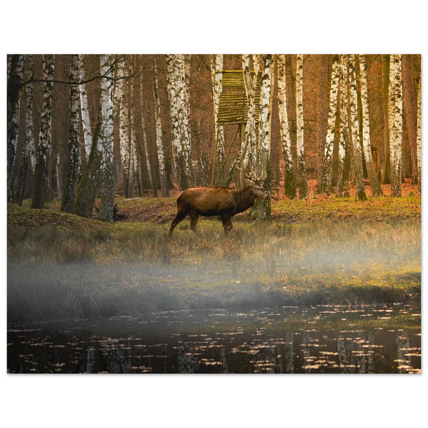 04b96969-2d0c-4b40-82ae-09a8e700dd95