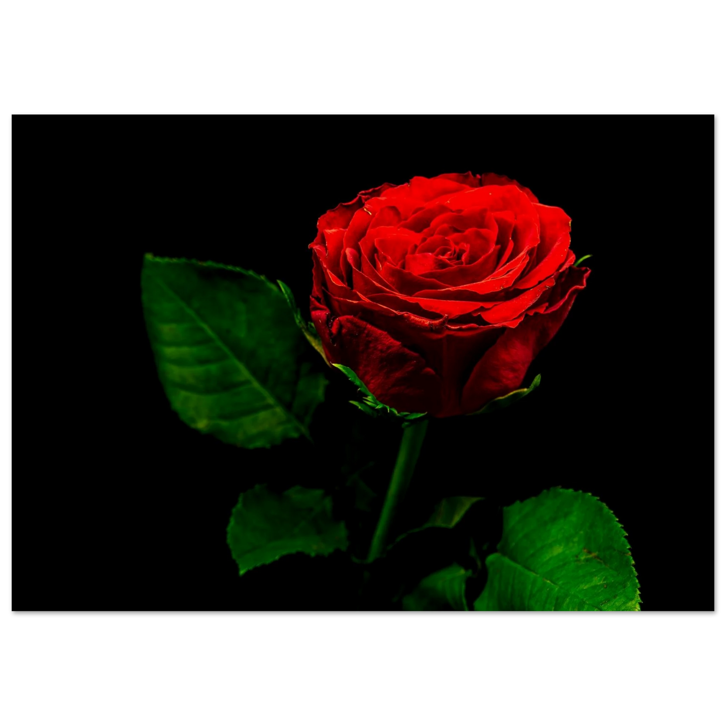 09b042f9-7735-47a1-bdc0-30e9eef29c94