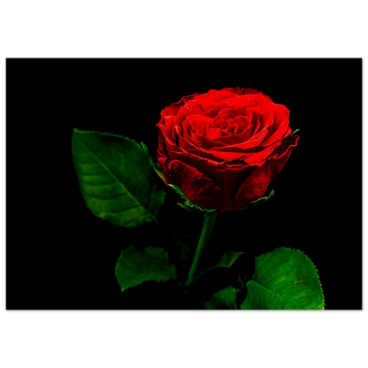 09b042f9-7735-47a1-bdc0-30e9eef29c94