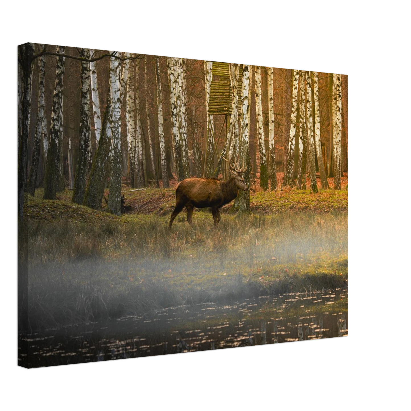 0a2464a2-da9e-4bc3-8c9c-a2508d8e996e