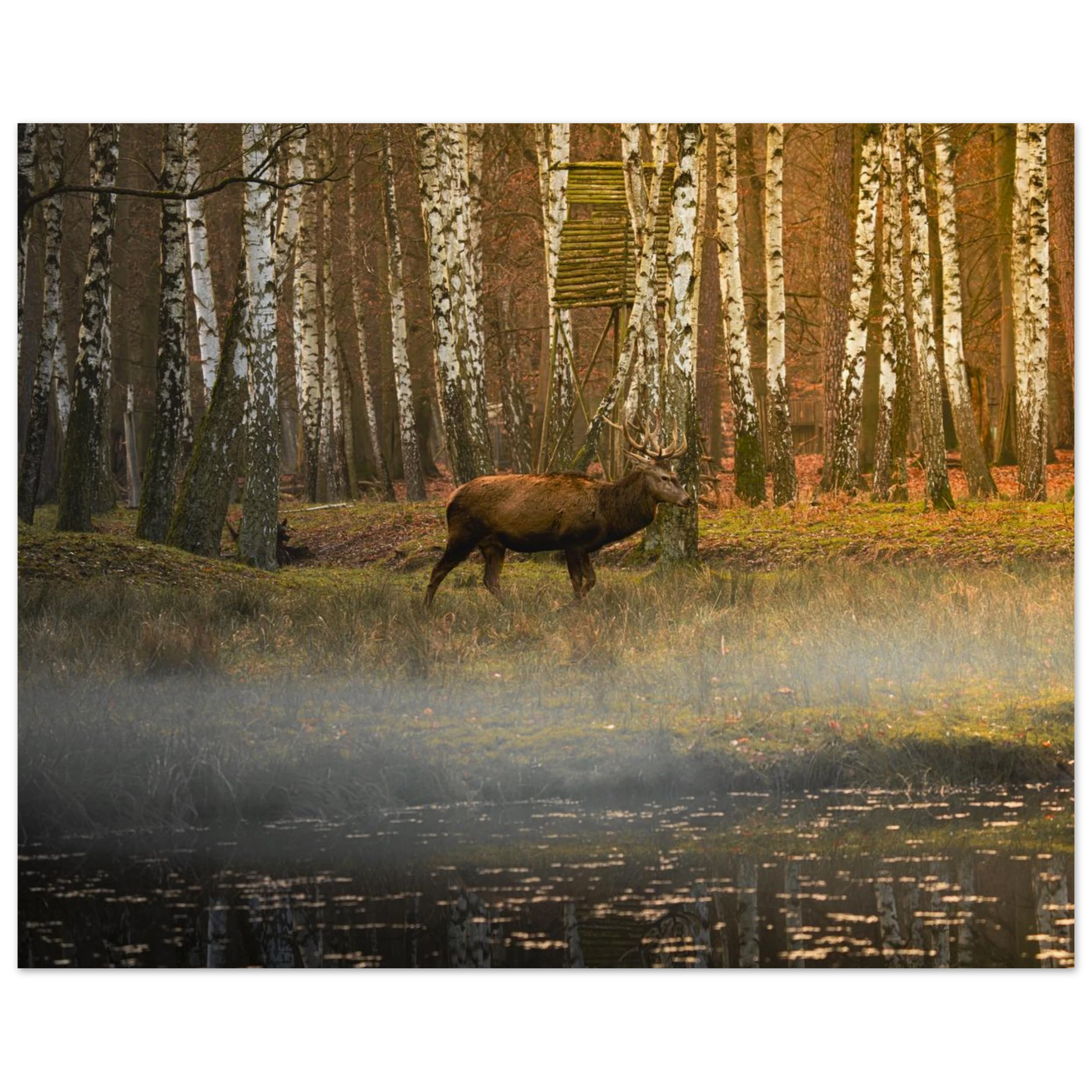 0f582be6-dfcd-438f-8341-d4815df794f0