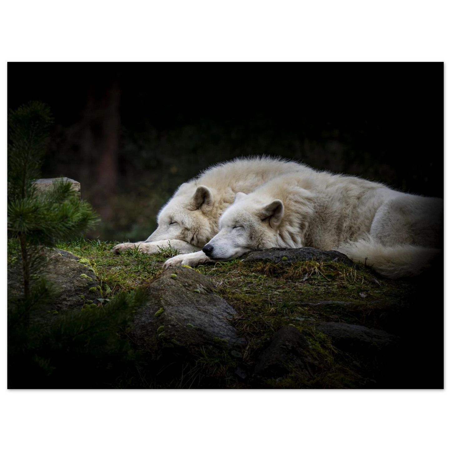 10da6d8b-748d-41fd-a448-edb665004f44