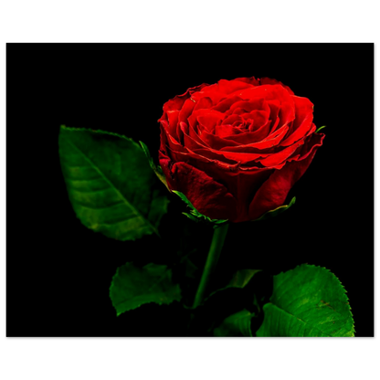 11919d24-135f-4212-9e64-8cfc8f621d27