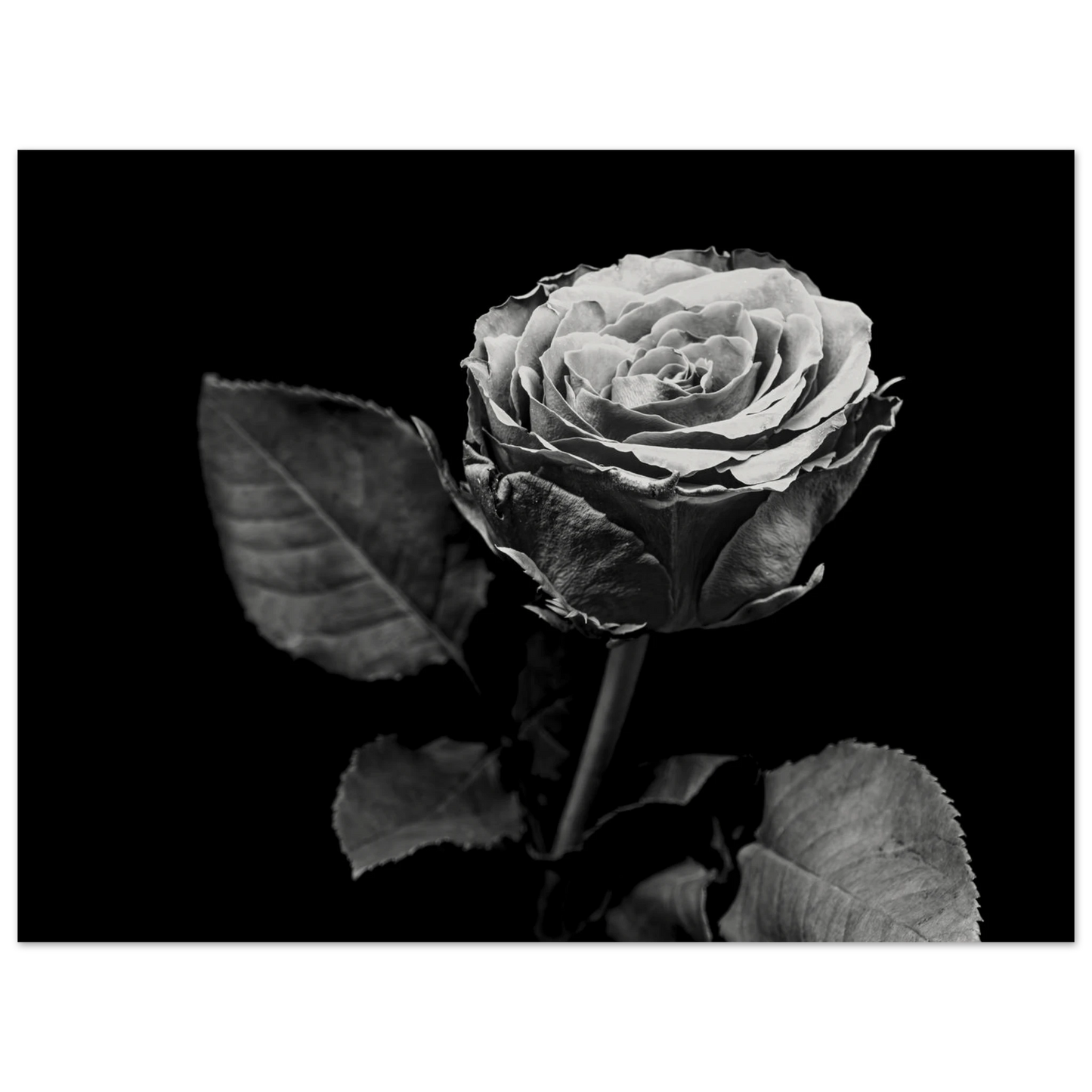 13083d79-feef-4ef9-bf9e-14084475106b