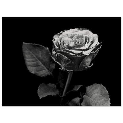 13083d79-feef-4ef9-bf9e-14084475106b