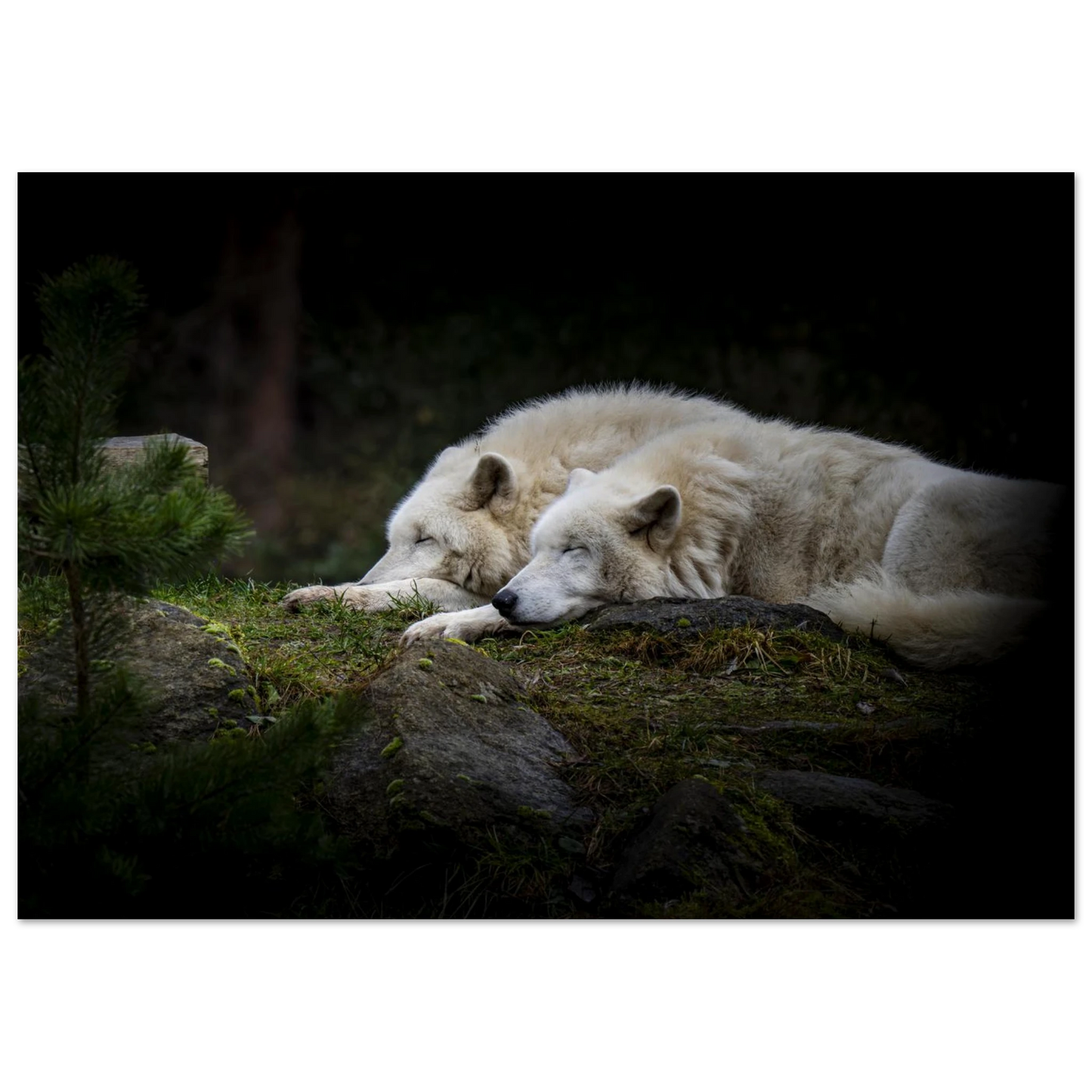 1887d3bd-c87b-4fdc-bd90-03ffcc58a94f