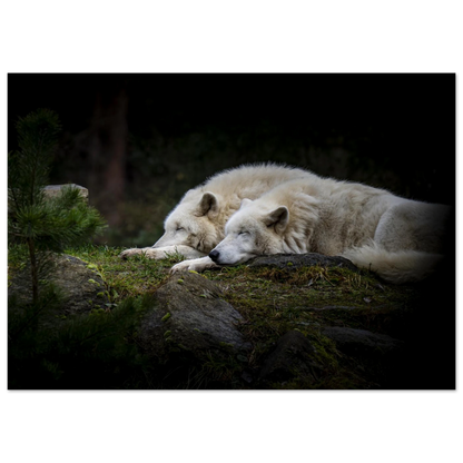 1887d3bd-c87b-4fdc-bd90-03ffcc58a94f