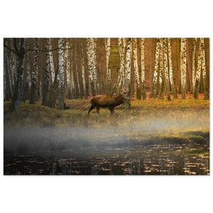 1c4b1482-179b-471a-b496-9d3c4d986f3f