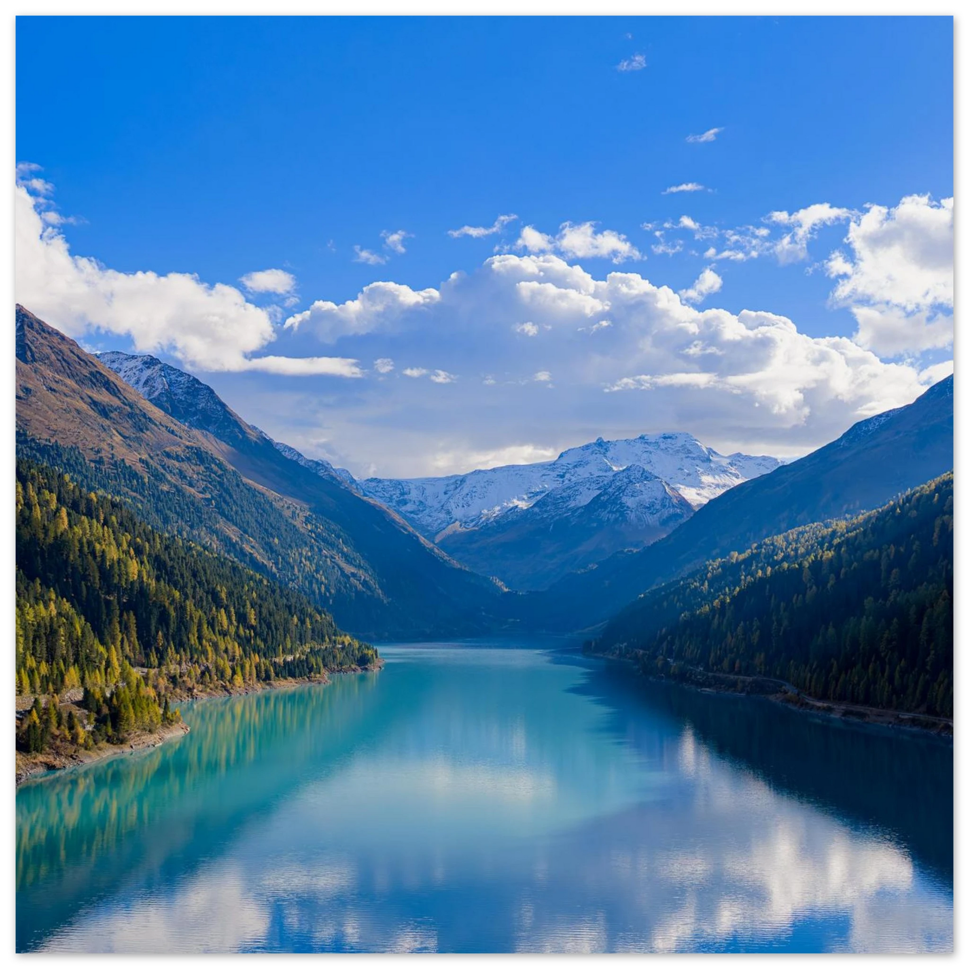 1c561a8d-a81f-4fb8-8667-90d30f1e1fdc