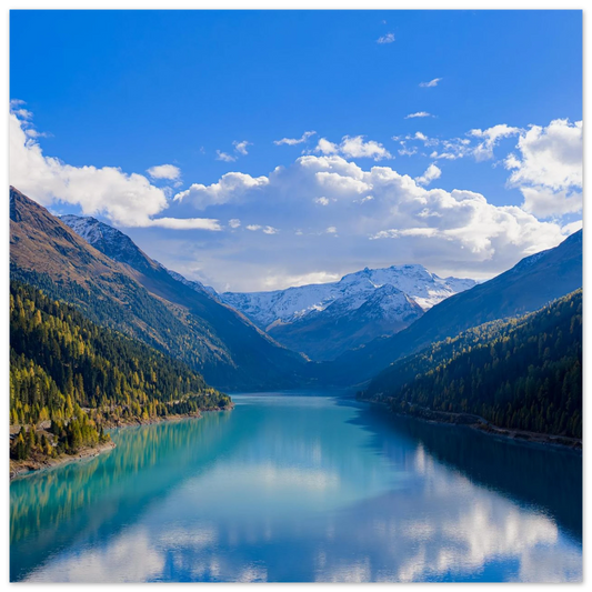 1c561a8d-a81f-4fb8-8667-90d30f1e1fdc