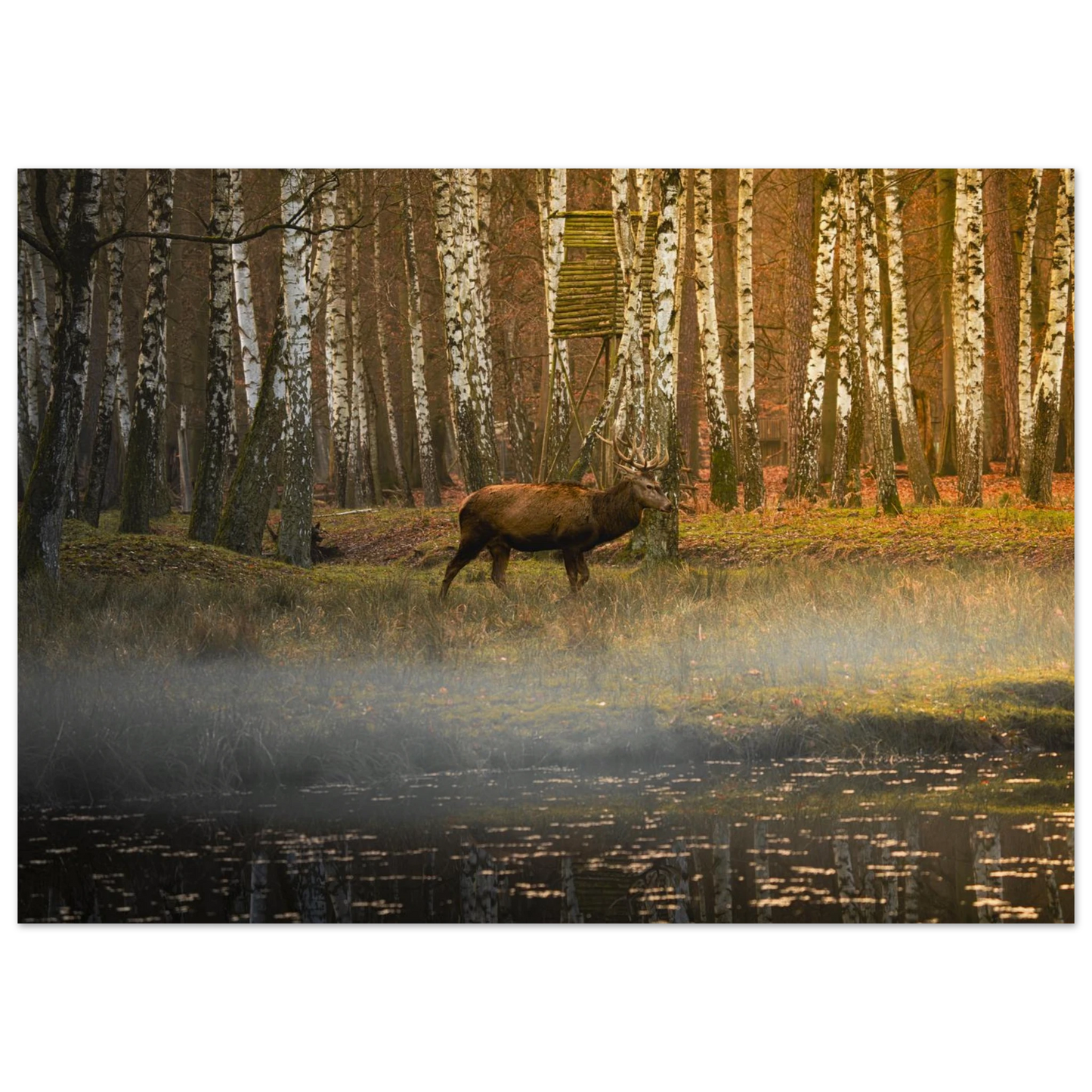 1e5954bd-82e3-4a6b-a423-53f2d3376292