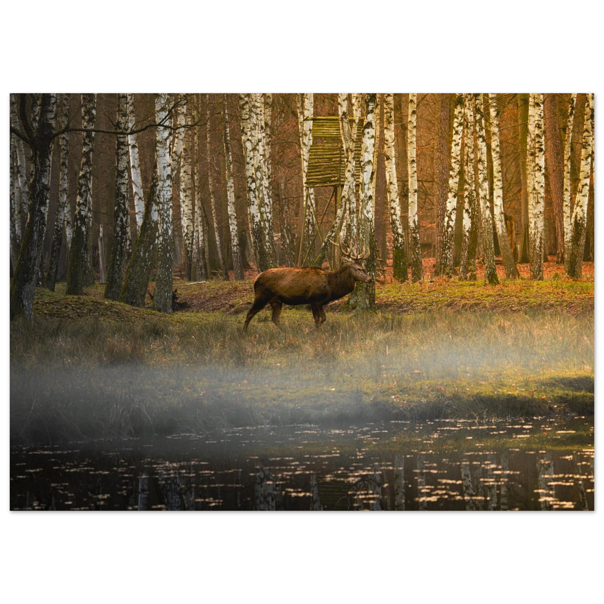 1e5954bd-82e3-4a6b-a423-53f2d3376292