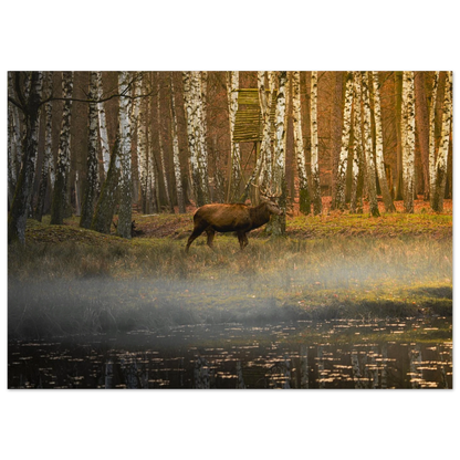 1e5954bd-82e3-4a6b-a423-53f2d3376292