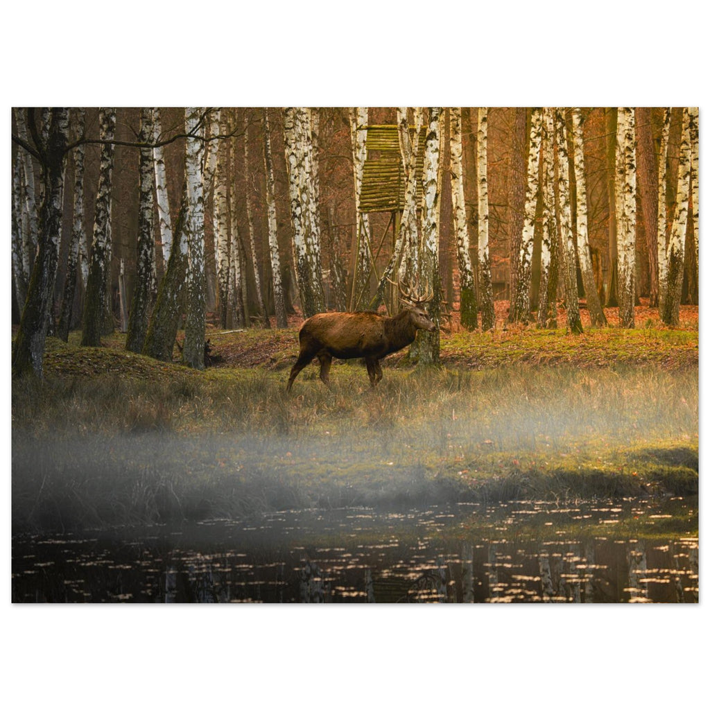 Hubbard Art by Joseph Hubbard Silent Steps in the Autumn Mist — Red Deer Fine Art Wildlife Photography Print 13x18 cm 5x7″