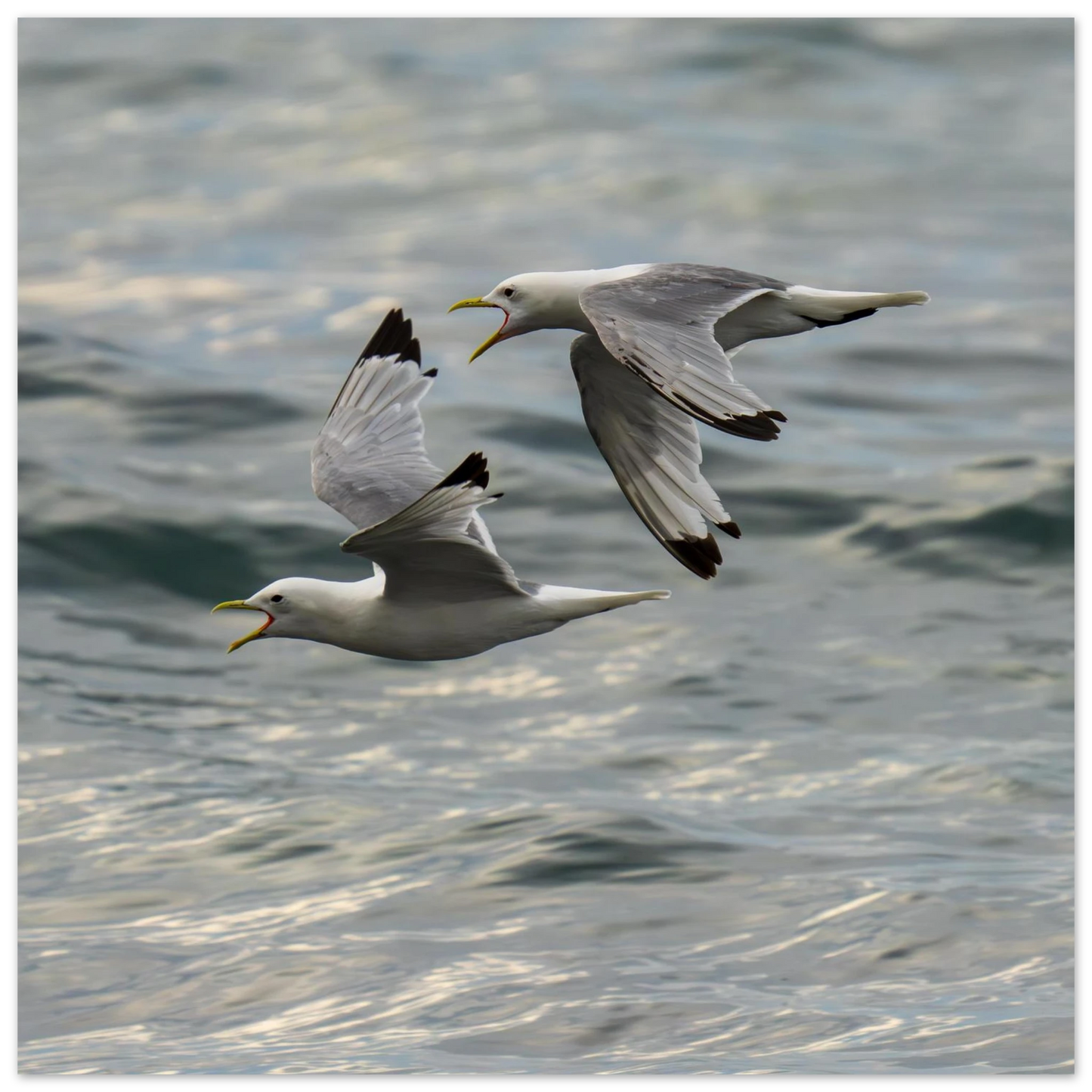 2fd7c4db-8d73-475f-ba0f-17c82a06a61a