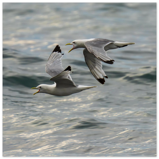 2fd7c4db-8d73-475f-ba0f-17c82a06a61a