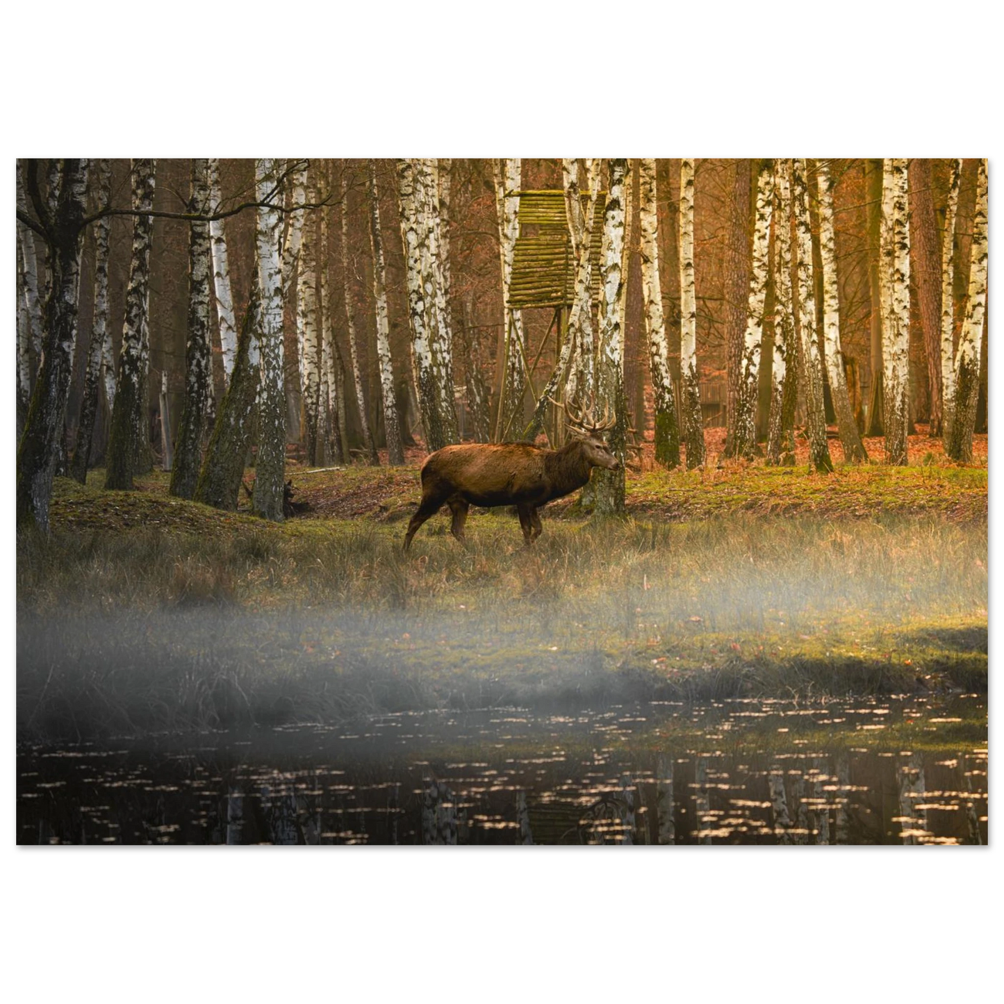 33acd35c-e286-4ee5-93ef-7ad0af2fb2bd