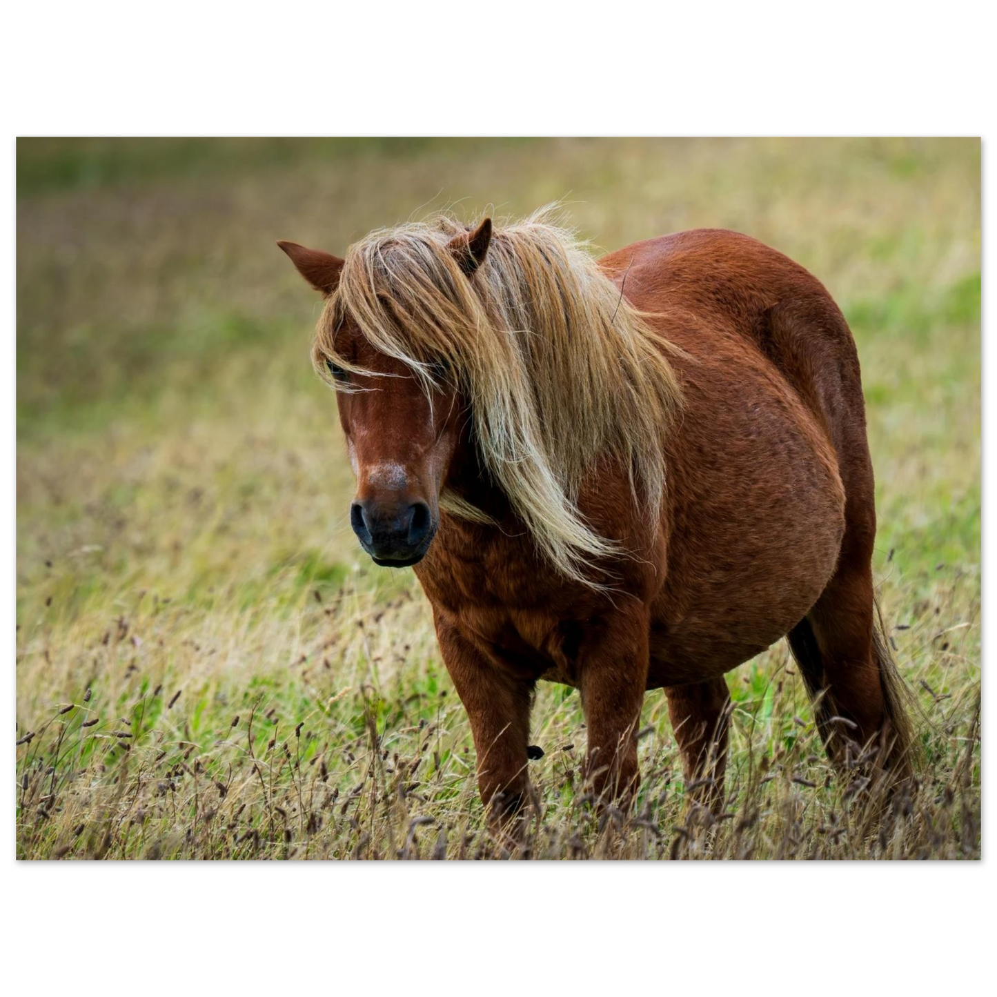 39044428-beeb-4a62-bdf3-3d29de502b4d