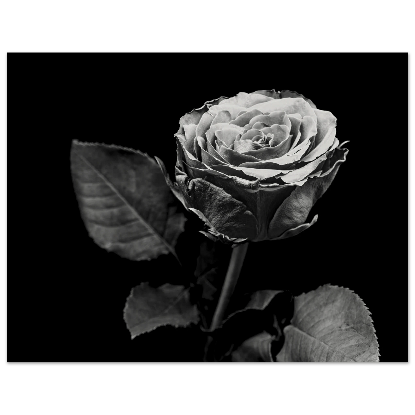 3e554306-aec1-4af1-9576-d9fe8e12f5f8