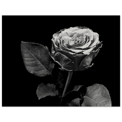 3e554306-aec1-4af1-9576-d9fe8e12f5f8