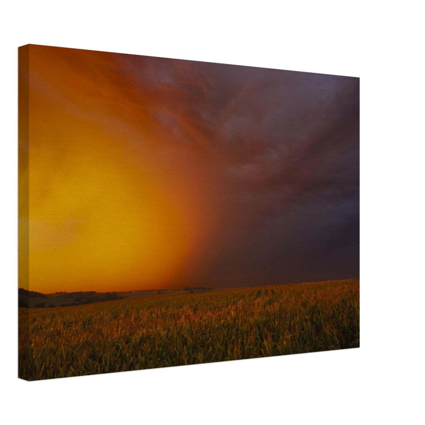 3eabf573-fc13-4ecb-bec4-e22dc87788a0