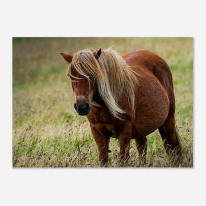 3eae022b-e2c6-41d0-885d-c6336ec78393