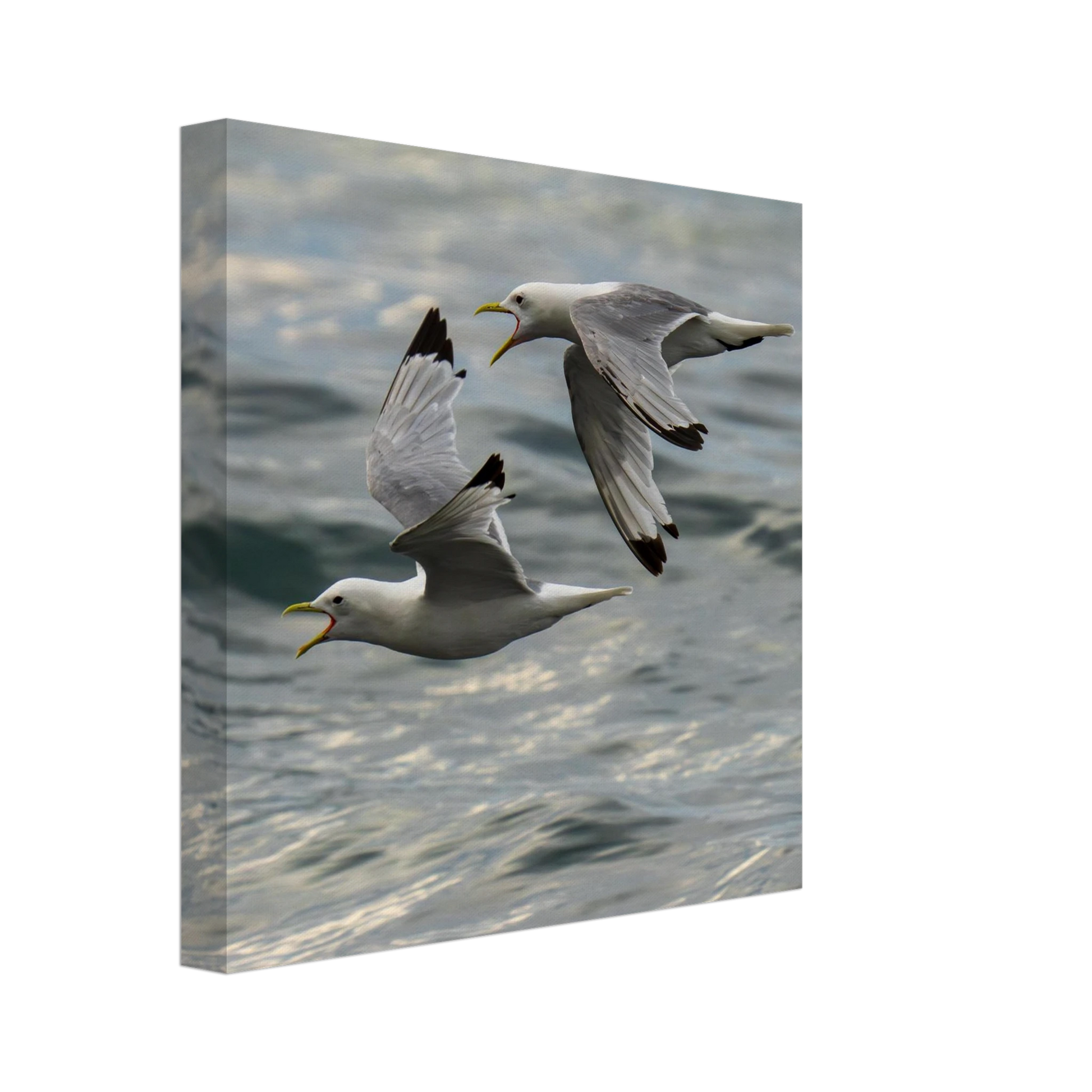 40ebbd06-74fa-4d63-9dbd-ead433f78f48