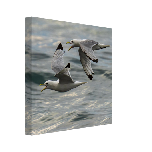 40ebbd06-74fa-4d63-9dbd-ead433f78f48