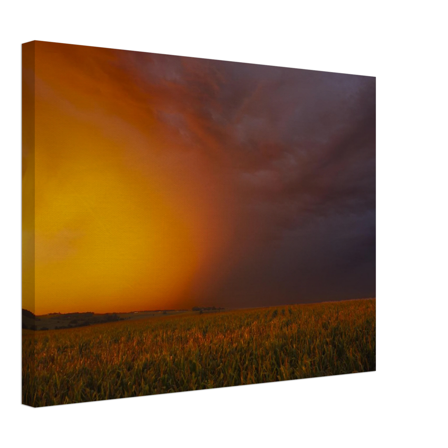 44bba3bb-c33f-4c5a-9c22-d26020d5ee7f