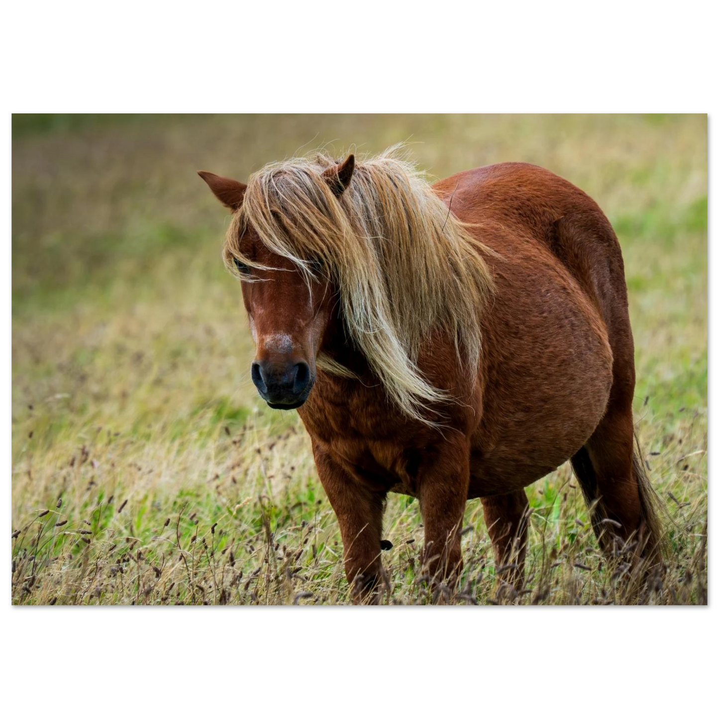 46d7ccfc-dcfe-49a7-a6b7-c242d9646930