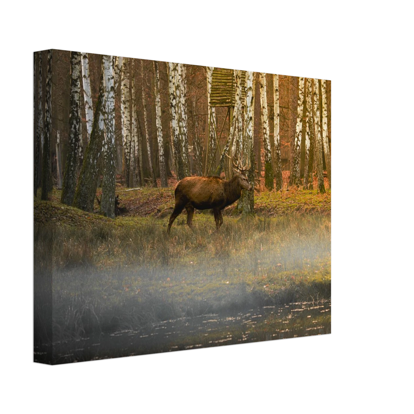 4d2c7c37-eccc-4129-a4bb-e266e08e090e