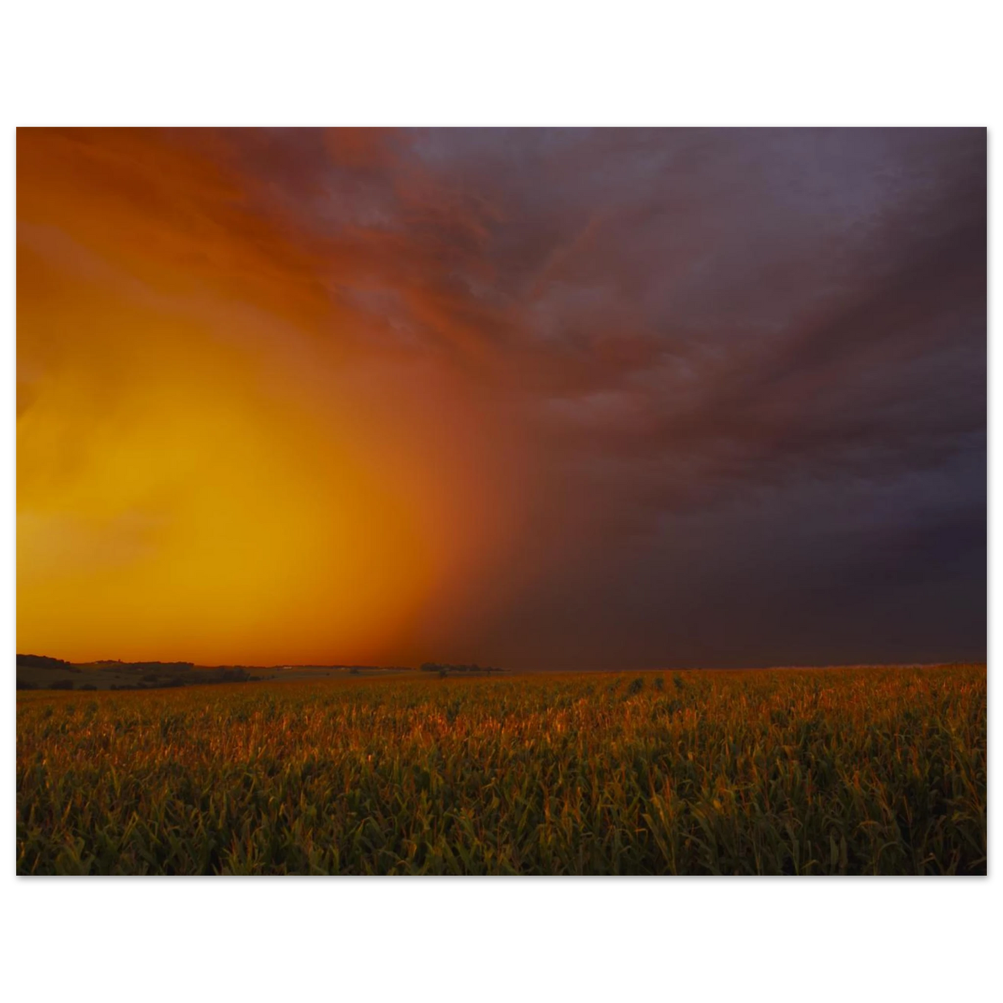 4e40b369-a9c8-4484-b32e-a7f3663d34ca