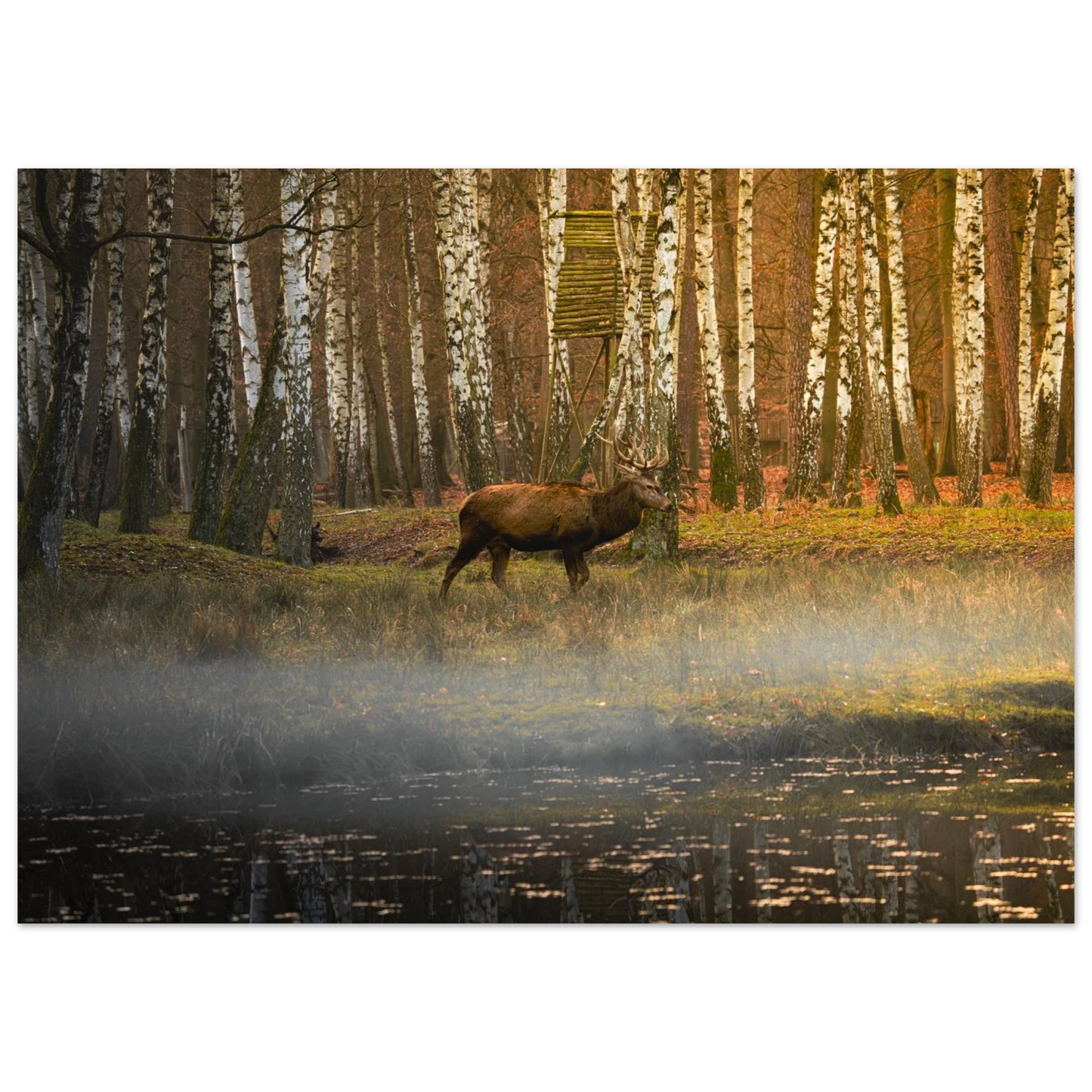 5131b15c-7e1c-42fe-a348-b7413427c0d9