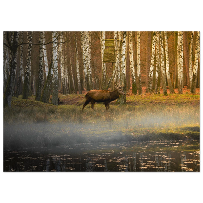 5131b15c-7e1c-42fe-a348-b7413427c0d9