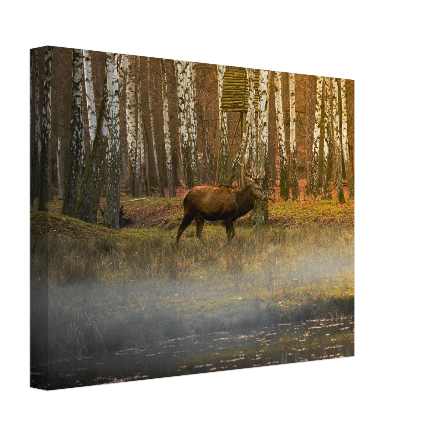 533726fb-9f5d-42e8-9fca-00d0dd576bd5