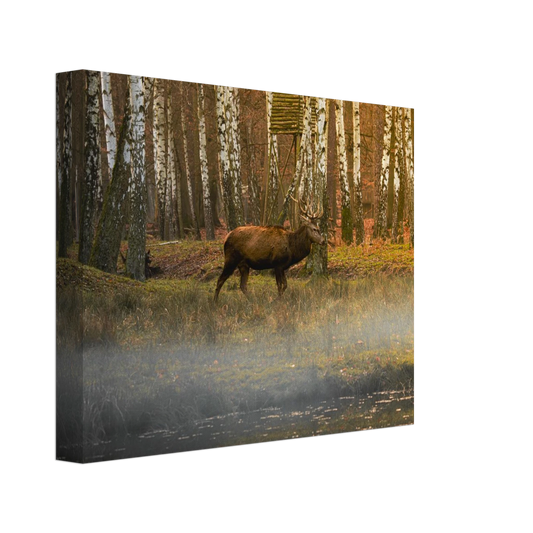 623b69bd-f73a-4fd2-99d5-170ba14bf87d