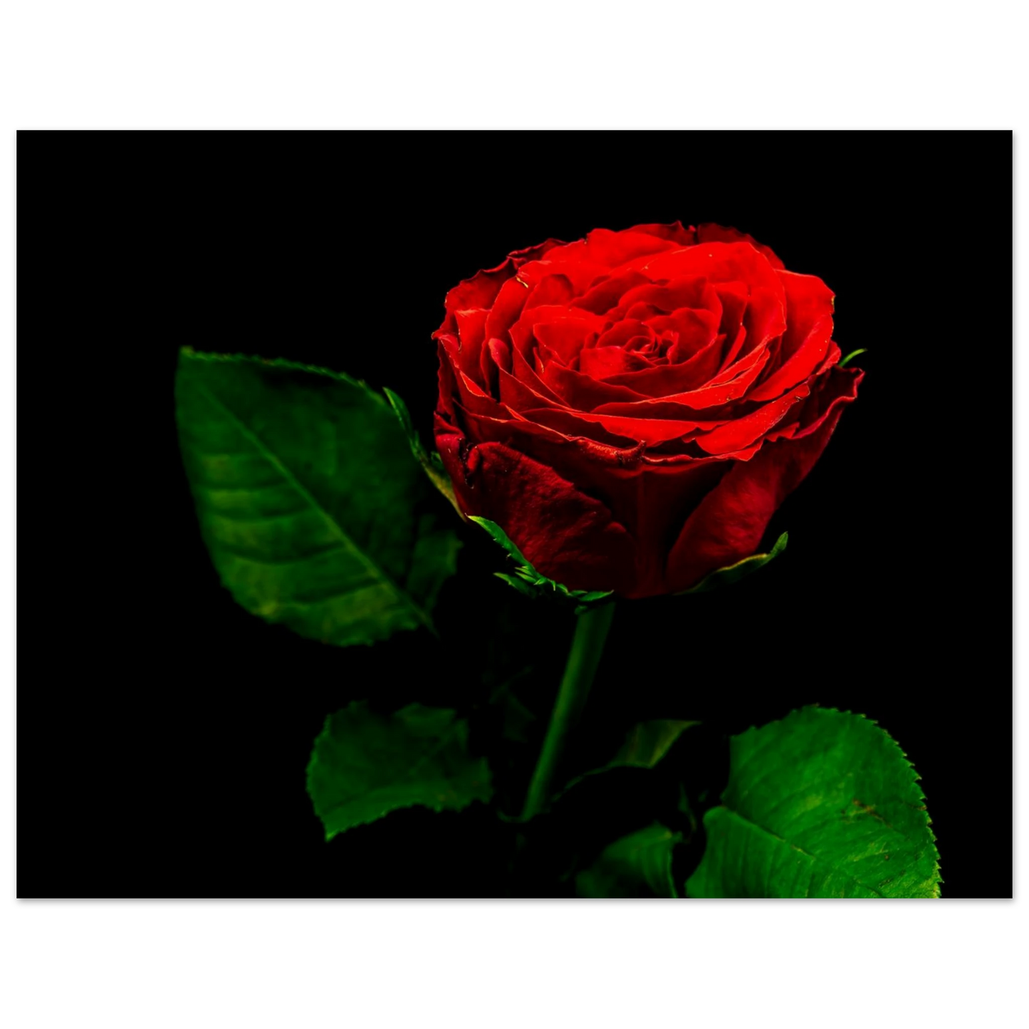 6433412e-907c-4b69-9af9-e5d2374c2ae9