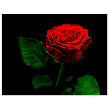 6433412e-907c-4b69-9af9-e5d2374c2ae9