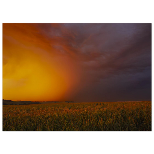 652285a5-eca7-4758-a207-3fe615e15dea