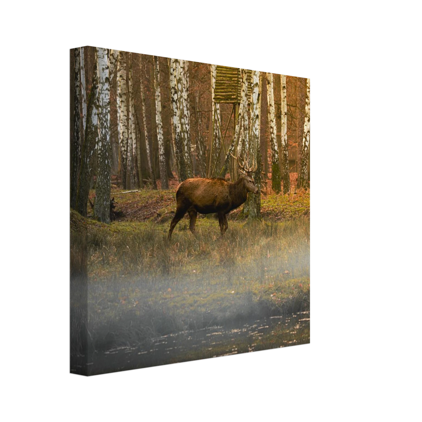 69bf0d10-9a4a-452d-a248-c8c43cd58c47