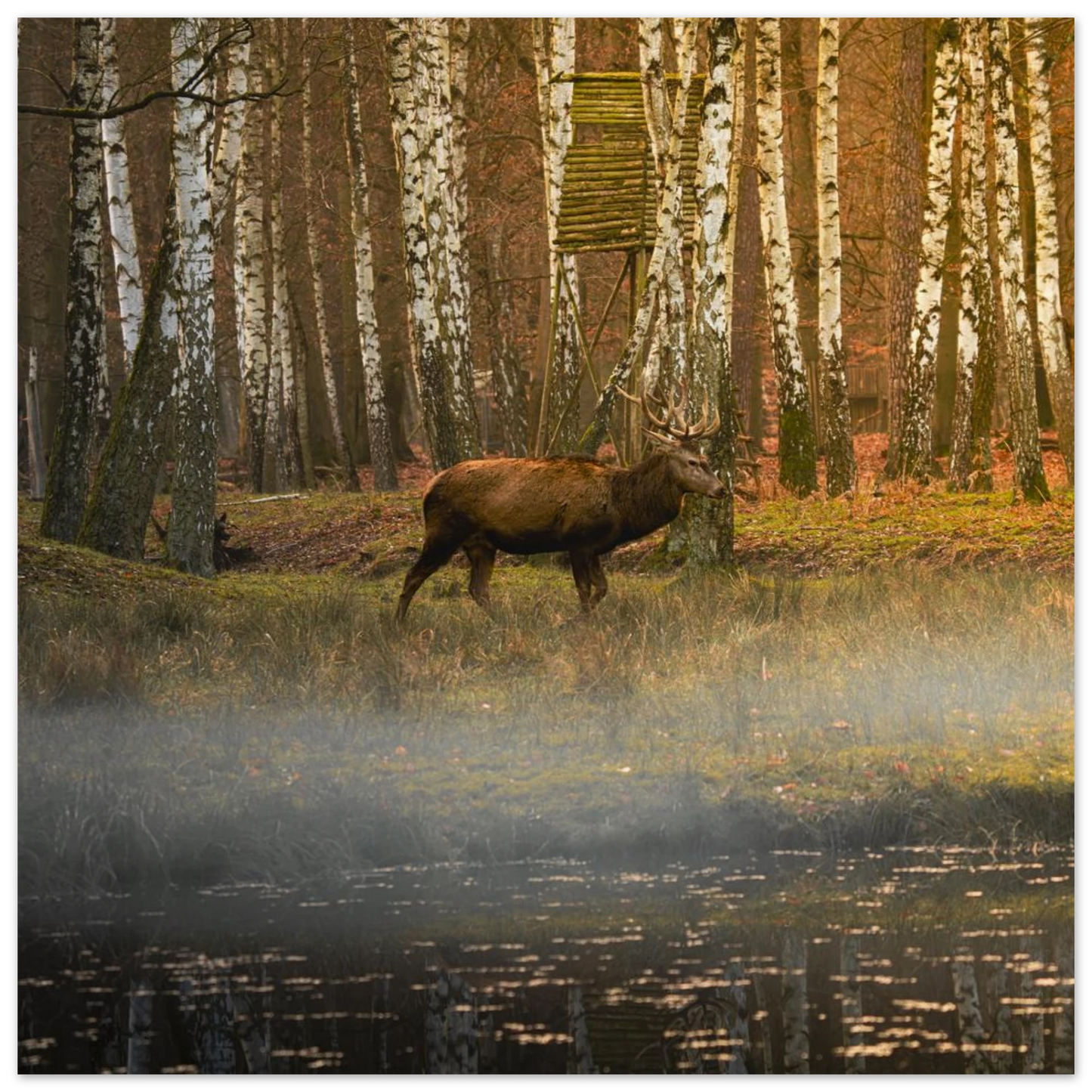 6ca3214c-774e-4a1d-86c1-73731a0981f5