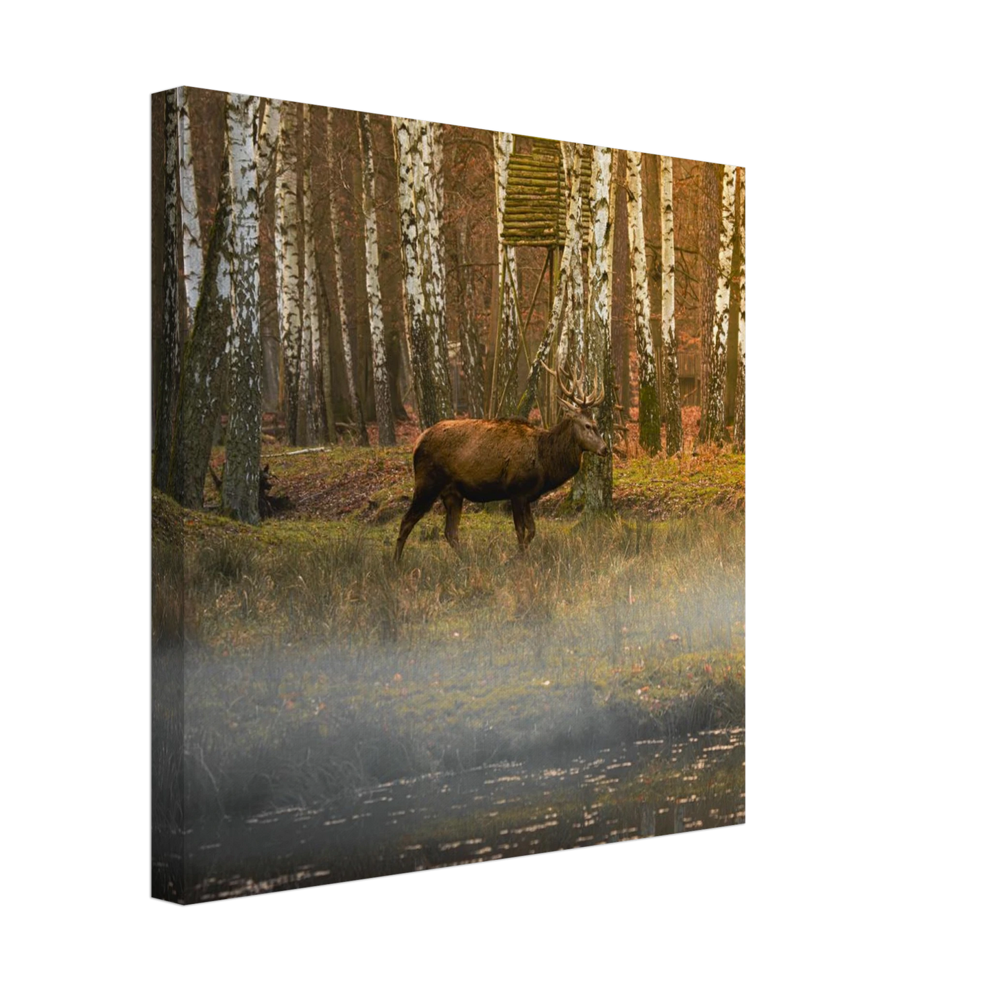 6cc46757-47d9-4e0f-b553-feb09d51a4e7