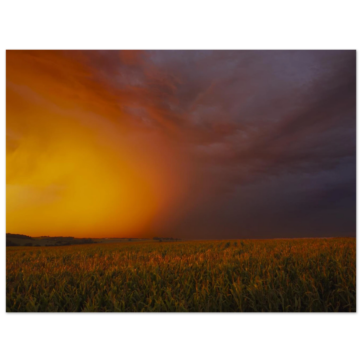 6d740133-2f16-4526-8878-a18b362113f7