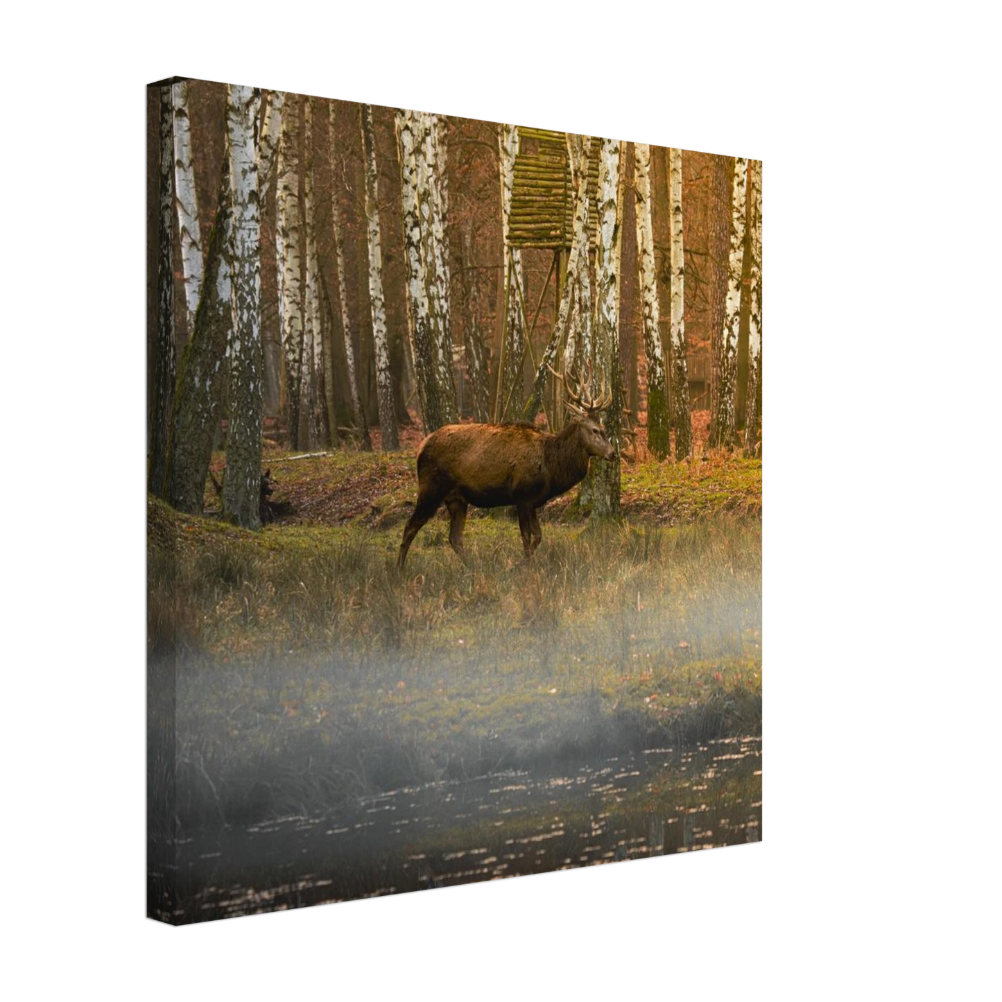 72517eae-044d-4dbd-8720-78f51d955e9a