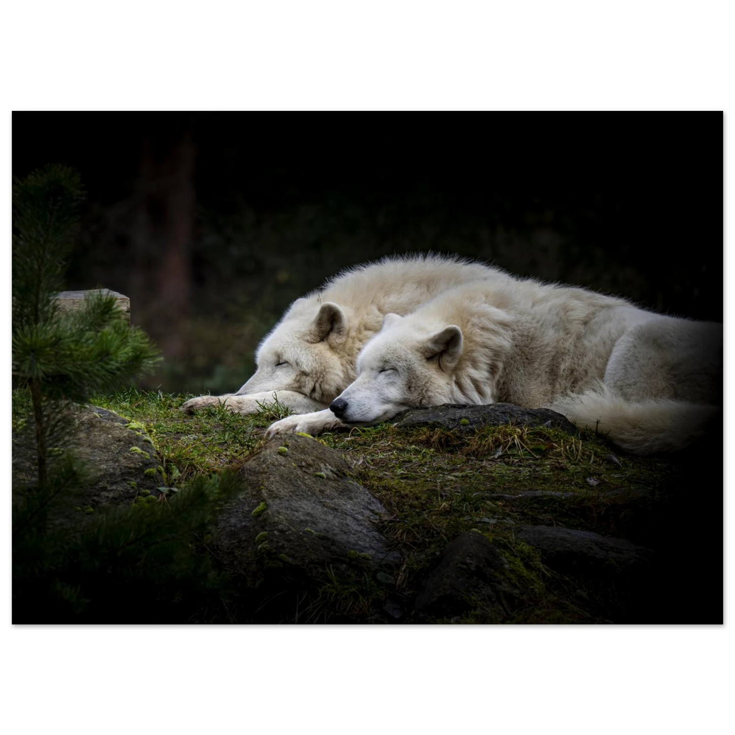 74c41290-14ba-4db3-916e-4b878b910e09