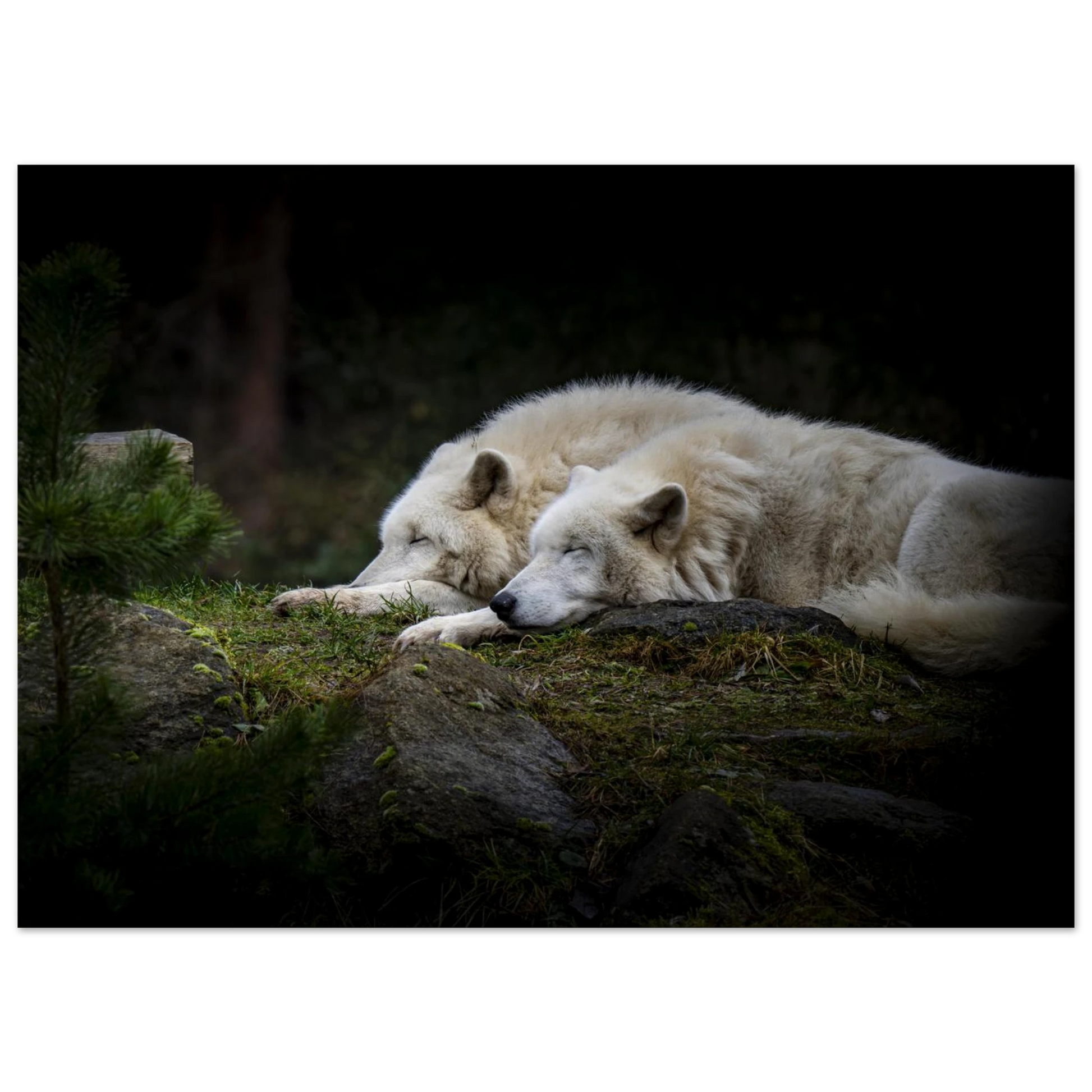 74c41290-14ba-4db3-916e-4b878b910e09