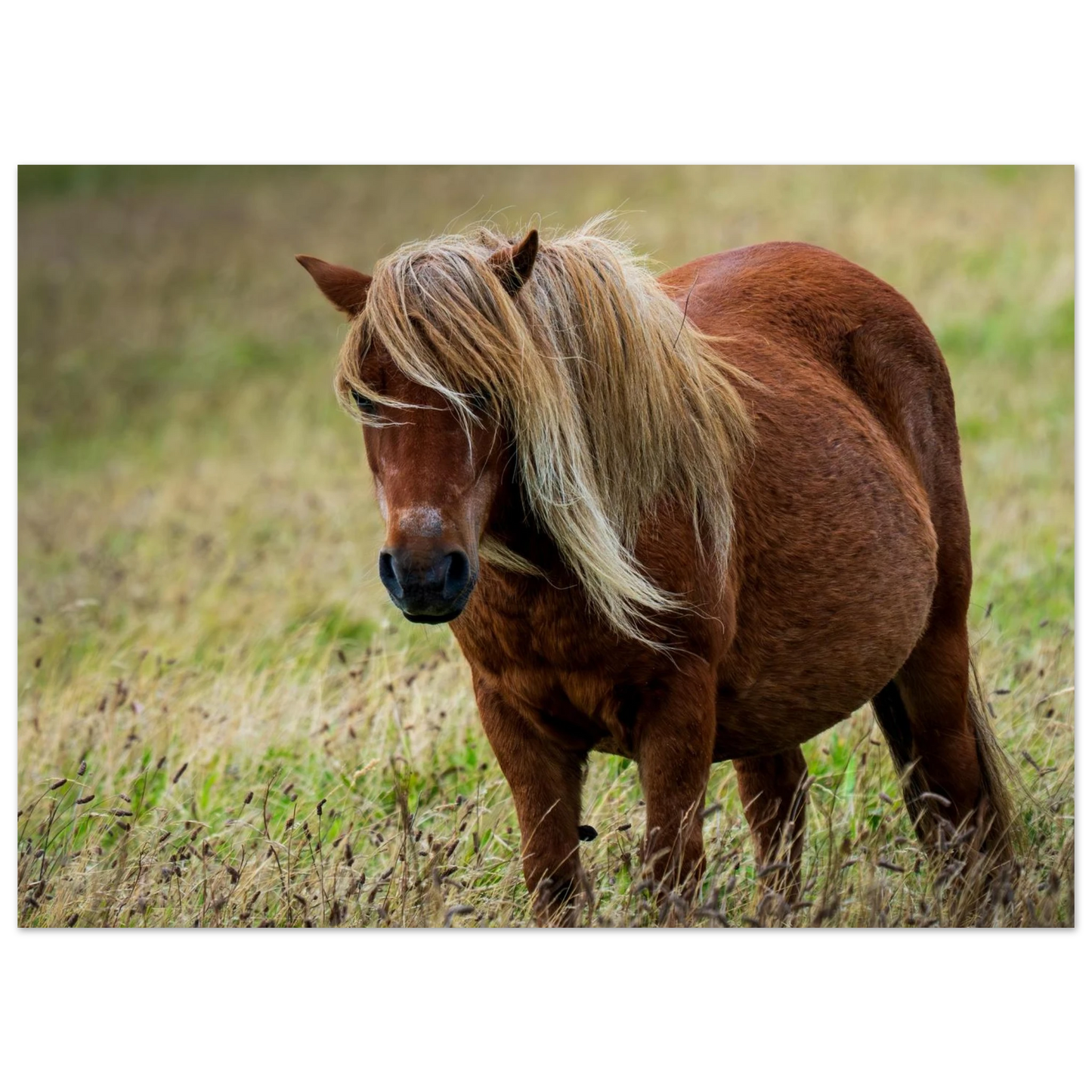 81f9b48a-1ff7-4bf4-8810-a8f8d88cae22